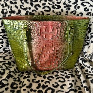 Watermelon Medium Asher